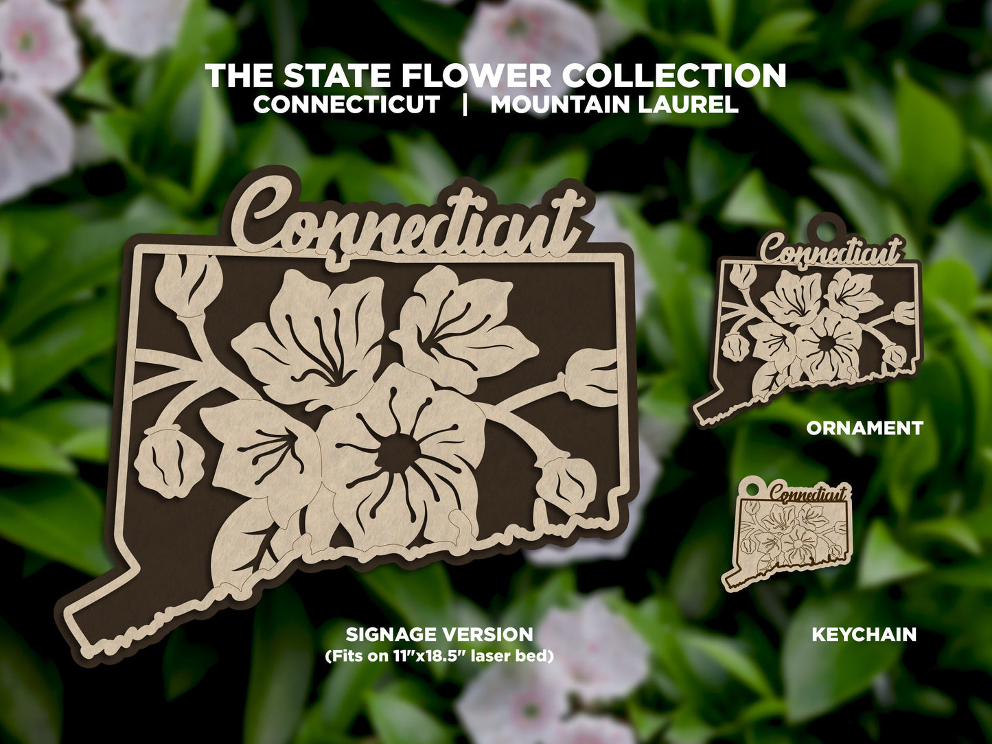 Connecticut State Flower Collection - Ornaments, Keychains & Signage Included - SVG, PDF, AI File types - Works With All Lasers