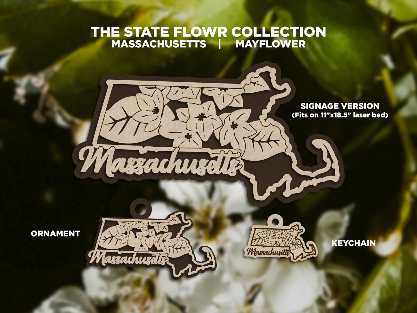 Massachusetts State Flower Collection - Ornaments, Keychains & Signage Included - SVG, PDF, AI File types - Works With All Lasers