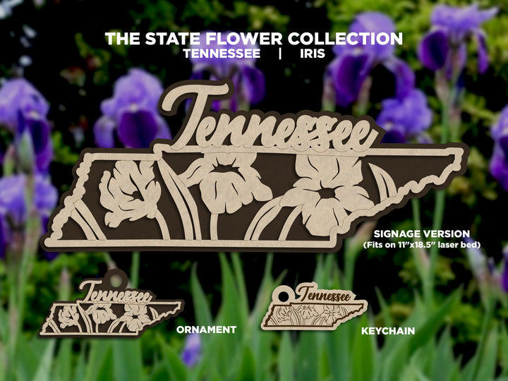Tennessee State Flower Collection - Ornaments, Keychains & Signage Included - SVG, PDF, AI File types - Works With All Lasers