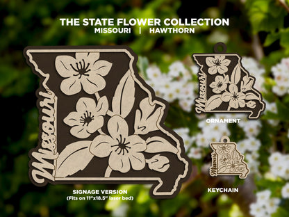 Missouri State Flower Collection - Ornaments, Keychains & Signage Included - SVG, PDF, AI File types - Works With All Lasers