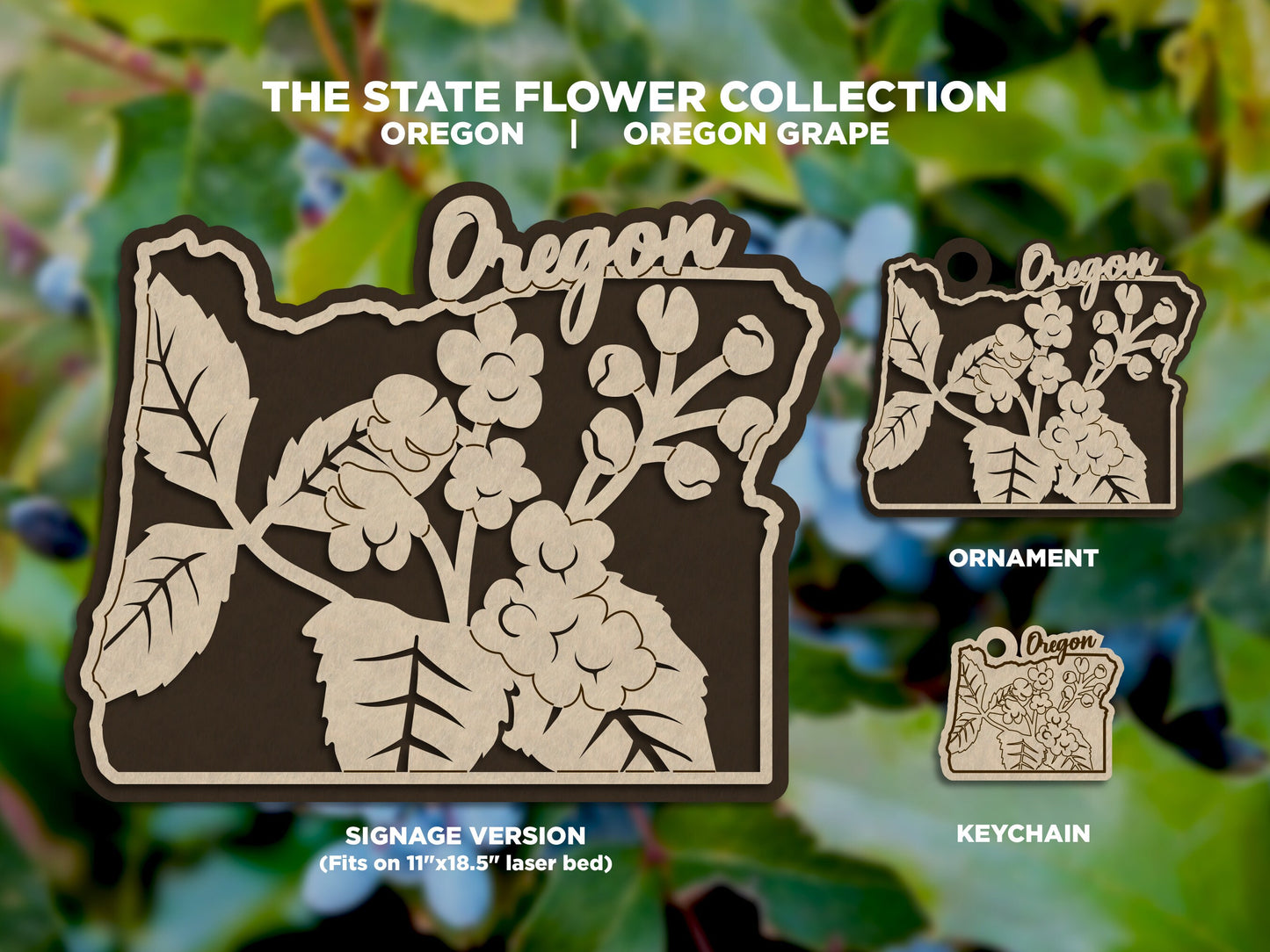 Oregon State Flower Collection - Ornaments, Keychains & Signage Included - SVG, PDF, AI File types - Works With All Lasers