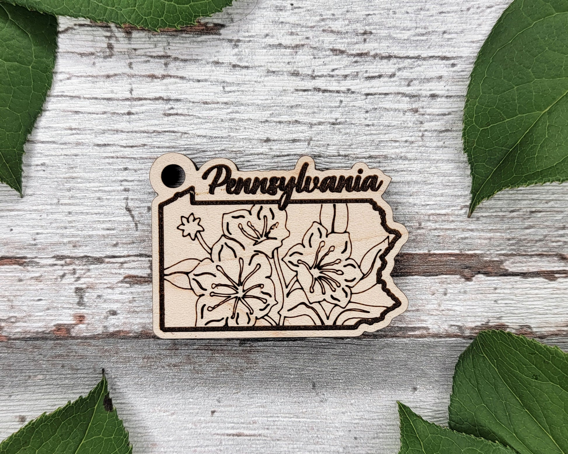 Pennsylvania State Flower Collection - Ornaments, Keychains & Signage Included - SVG, PDF, AI File types - Works With All Lasers