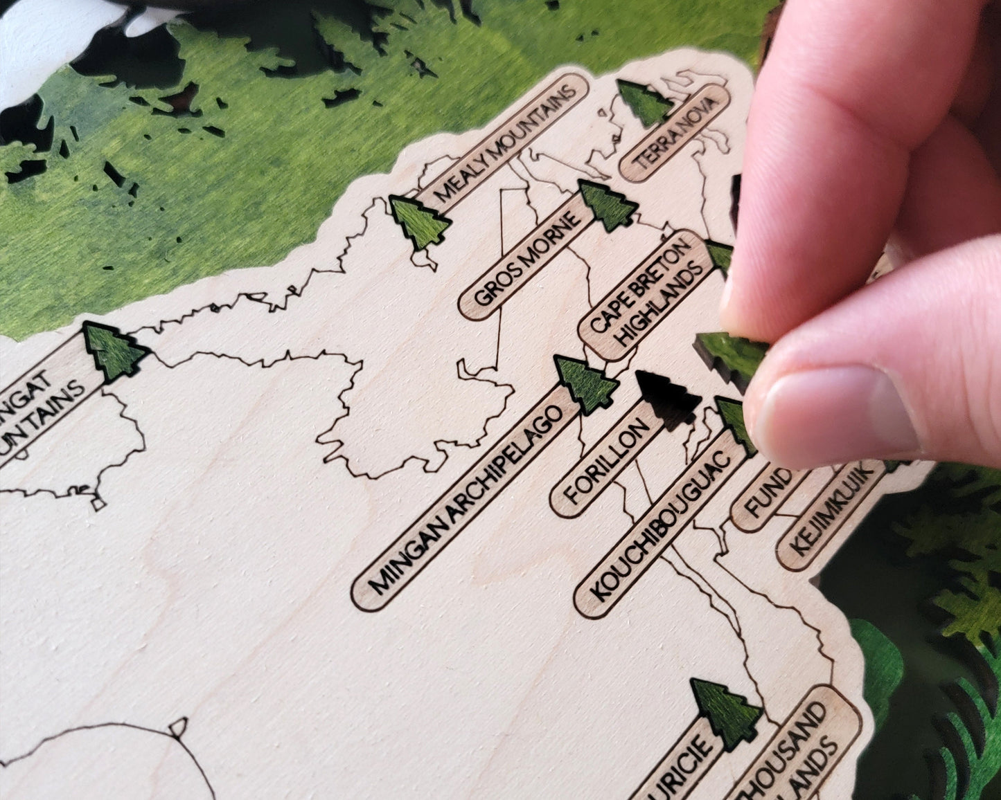 The Canadian National Parks Travel Map - 3 Backgrounds & 5 Customizable Name Plates - SVG, PDF, AI Files - Lightburn and Glowforge Tested